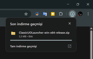 DownloadAndStart (8).png